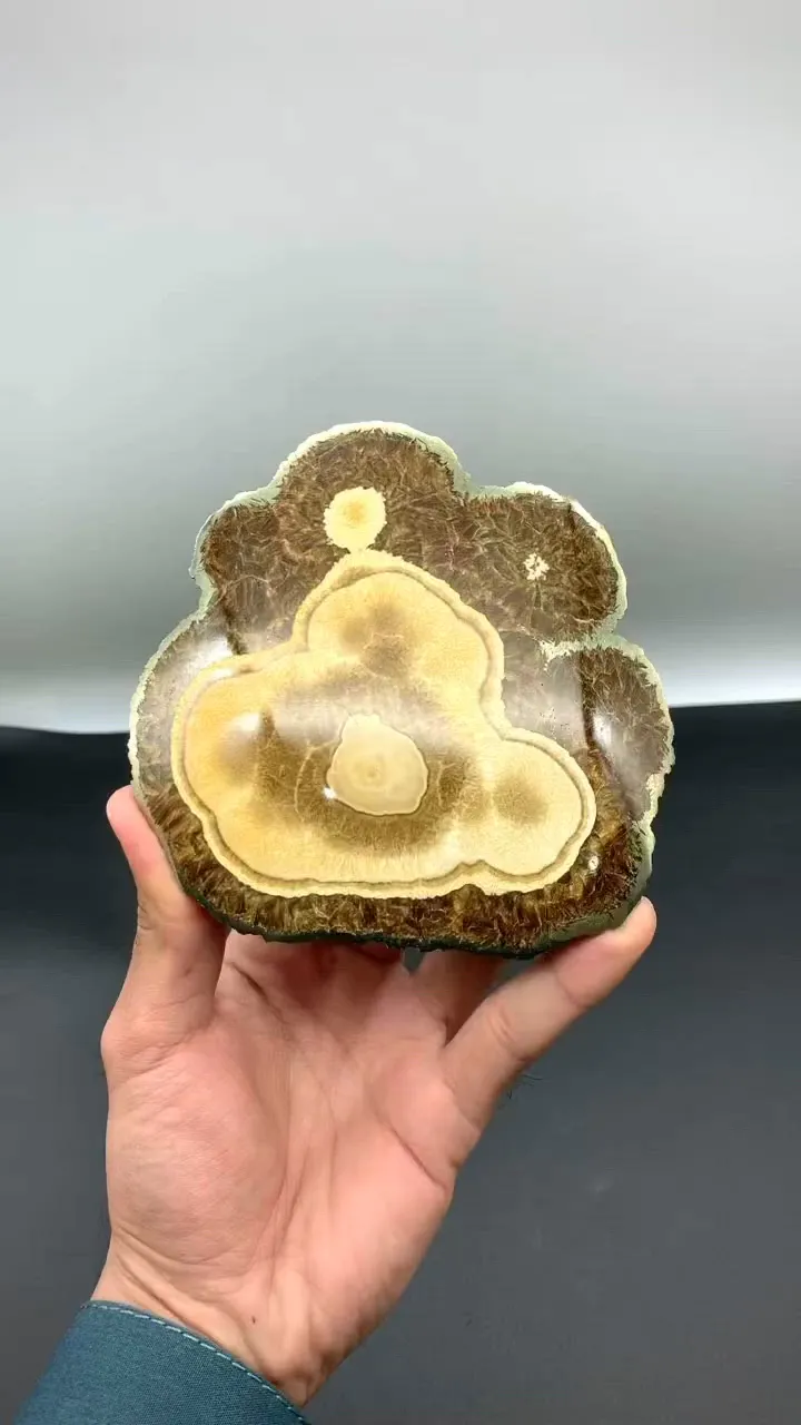 specimen video