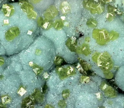 Phosphate Stope, USA Locality Guide