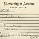 specimen