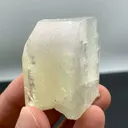 specimen video