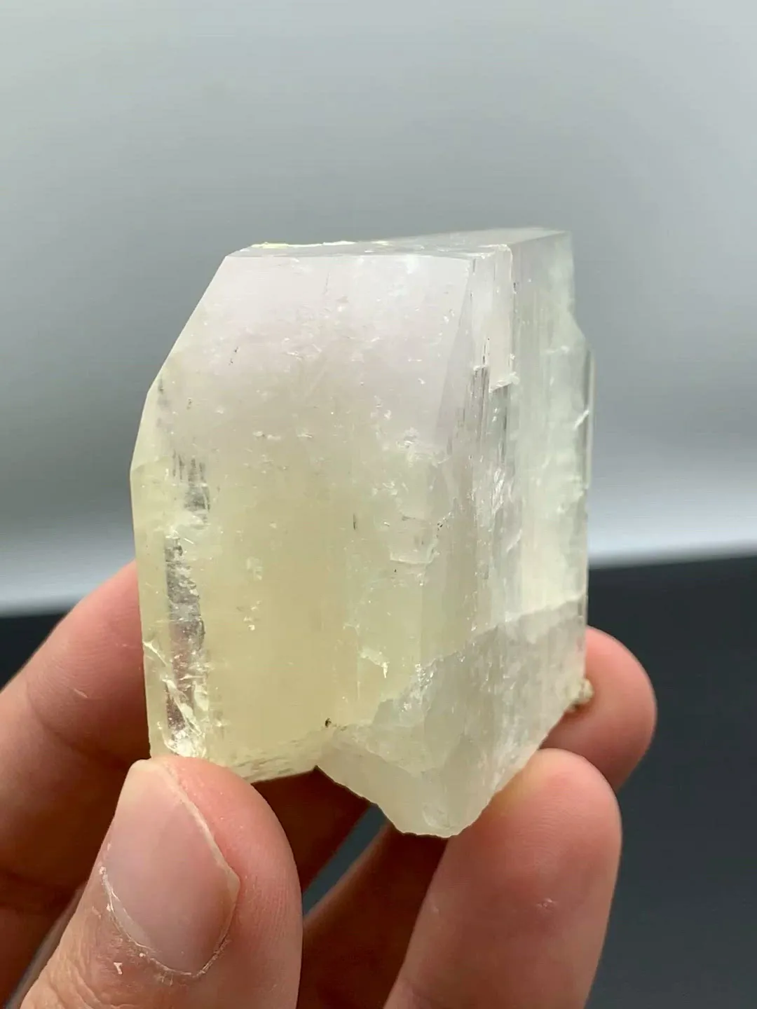 specimen video