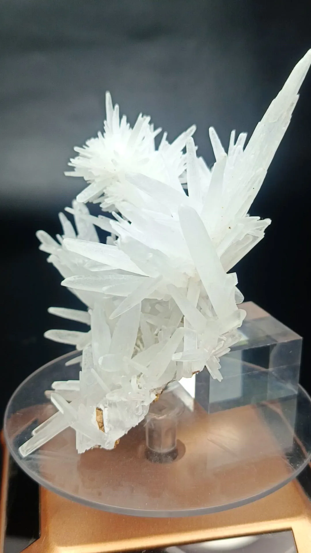 specimen video