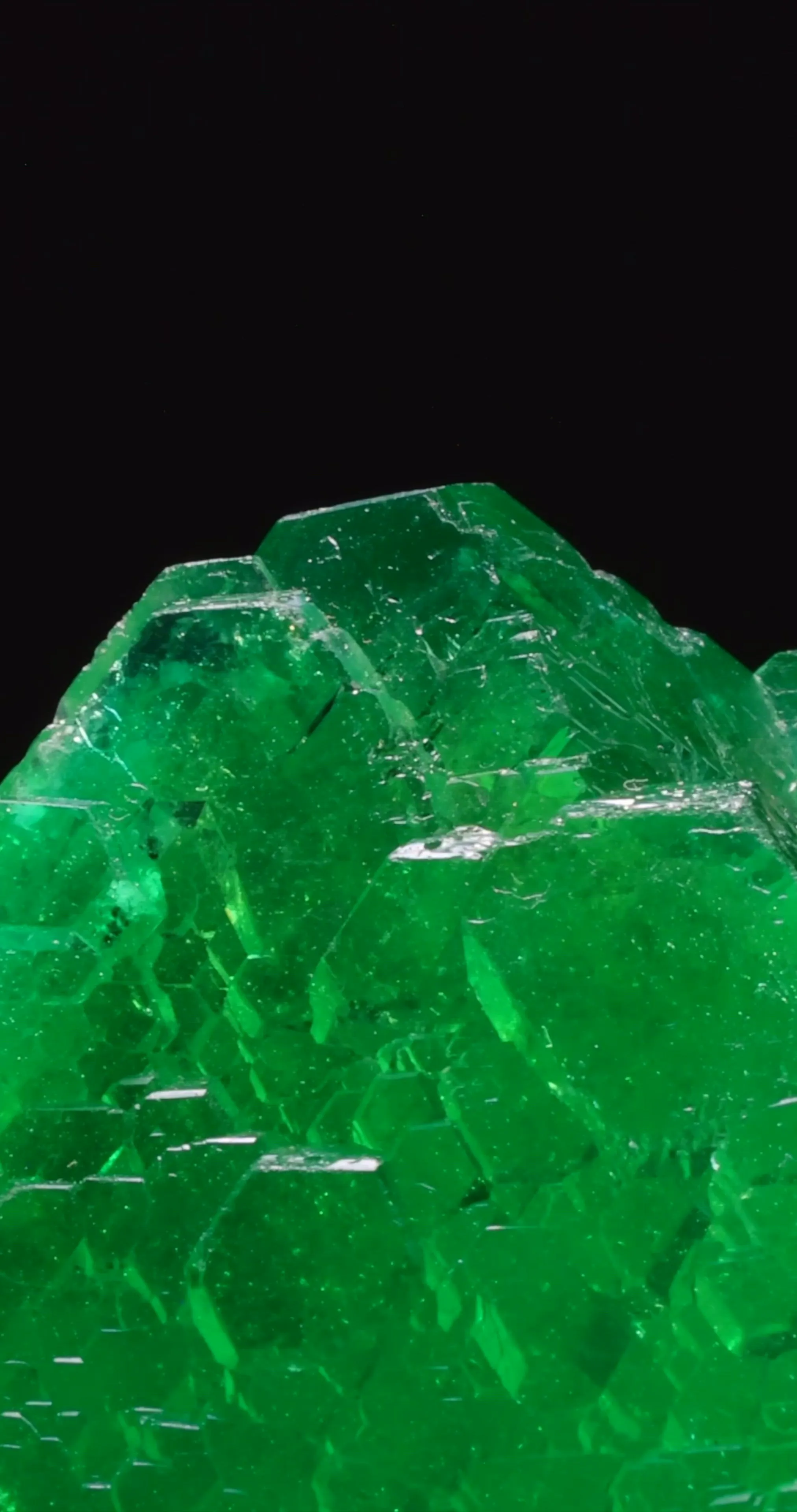 specimen video