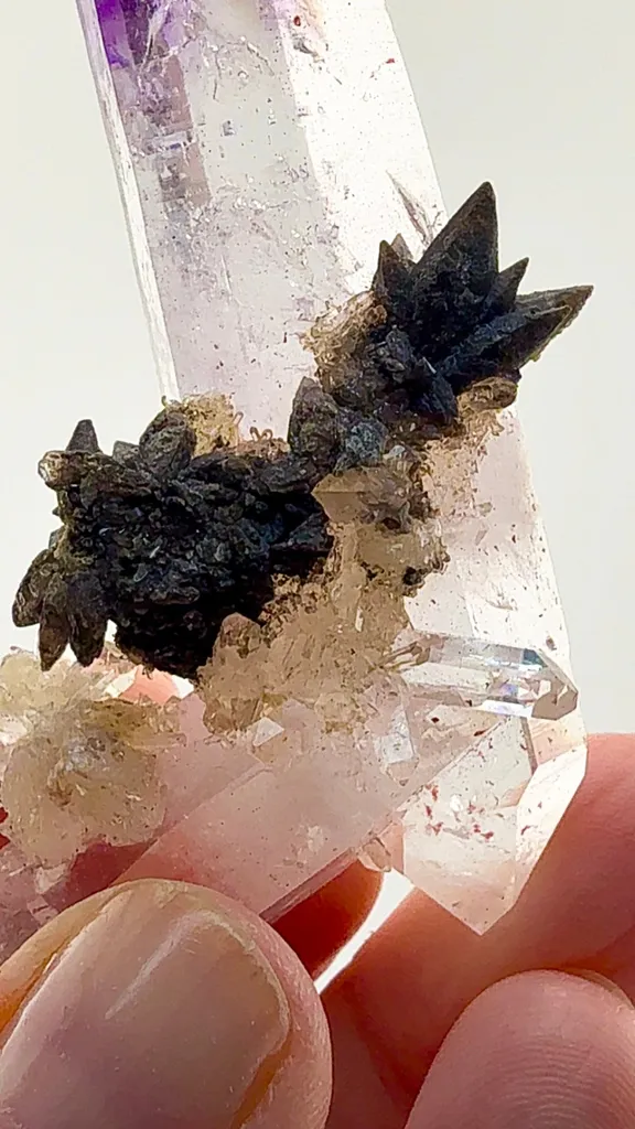 59.07 gram Double-Terminated Amethyst Quartz Valentine Pocket, Goboboseb Mountains, Namibia 59.07 grams - image 5