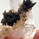 59.07 gram Double-Terminated Amethyst Quartz Valentine Pocket, Goboboseb Mountains, Namibia 59.07 grams - image 5
