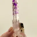59.07 gram Double-Terminated Amethyst Quartz Valentine Pocket, Goboboseb Mountains, Namibia 59.07 grams - image 3