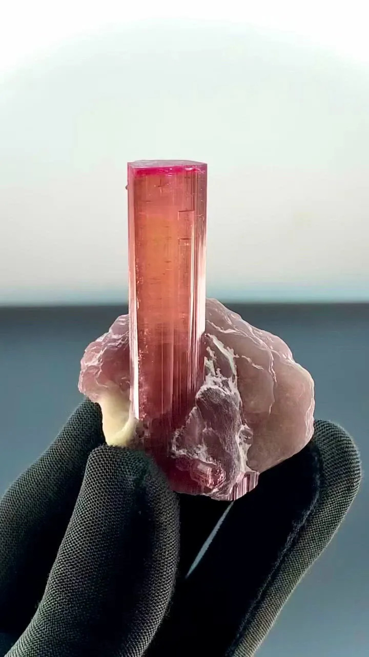 specimen video
