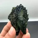 specimen video