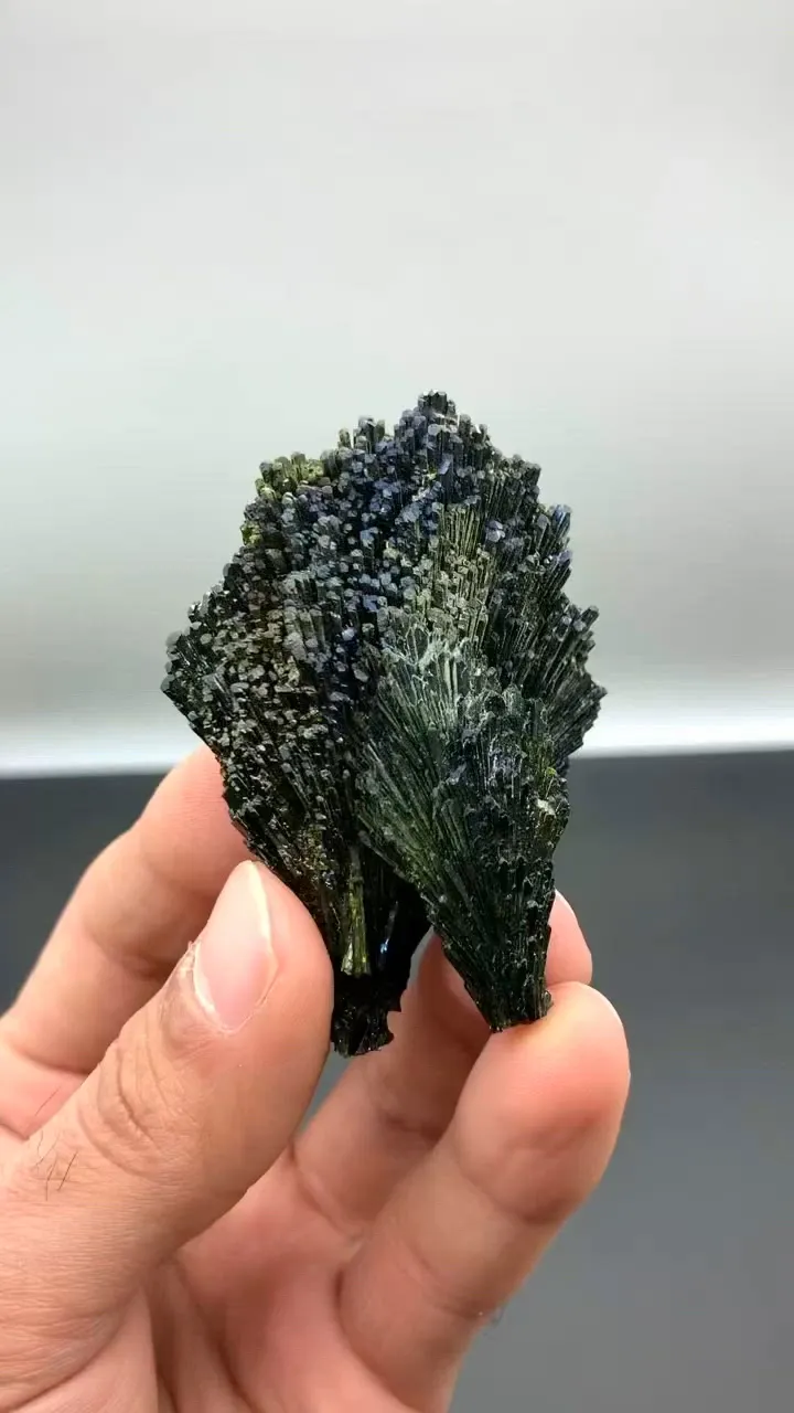 specimen video
