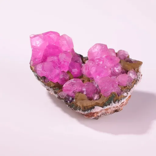 specimen video