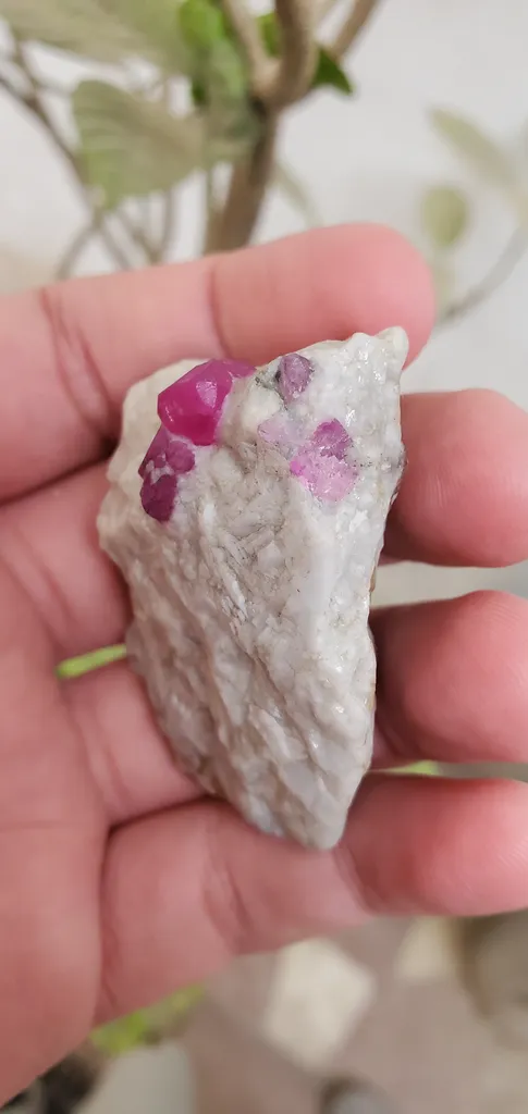 60 Gram Ruby Specimen, Jagdalak Afghanistan Mineral - image 5