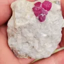 60 Gram Ruby Specimen, Jagdalak Afghanistan Mineral - image 2
