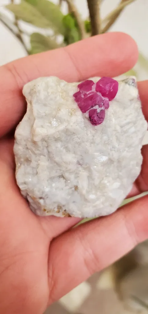 60 Gram Ruby Specimen, Jagdalak Afghanistan Mineral - image 6