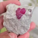 specimen video