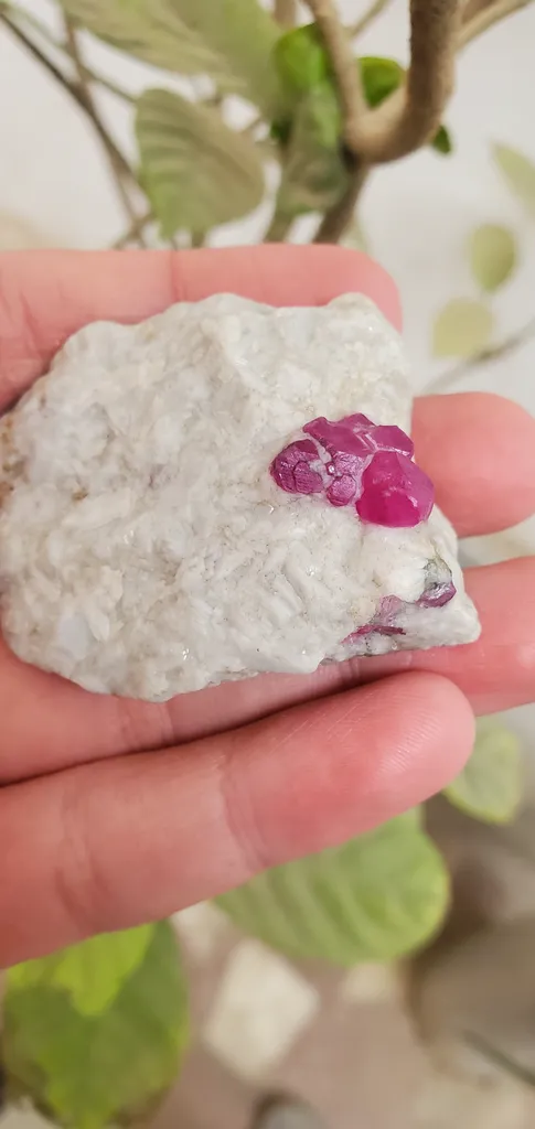 60 Gram Ruby Specimen, Jagdalak Afghanistan Mineral - image 3