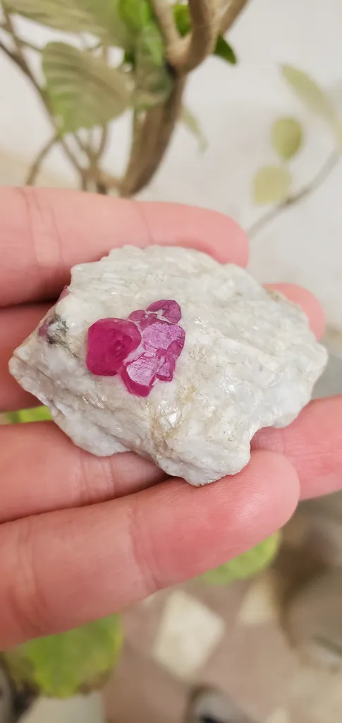 60 Gram Ruby Specimen, Jagdalak Afghanistan Mineral - image 4