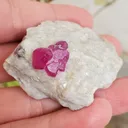60 Gram Ruby Specimen, Jagdalak Afghanistan Mineral - image 4