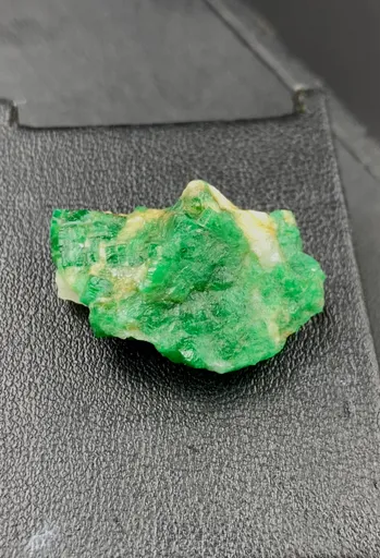 specimen video