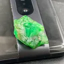 specimen video