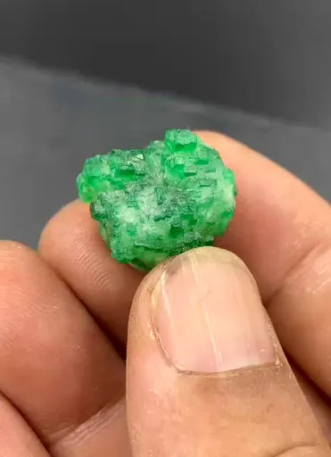 specimen video