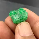 specimen video