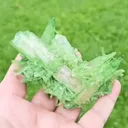 specimen video