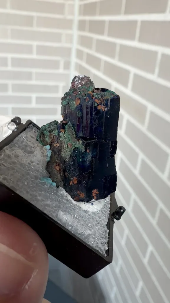specimen video