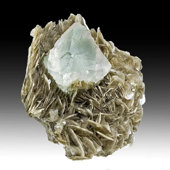 Fluorite on Muscovite