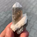 specimen video
