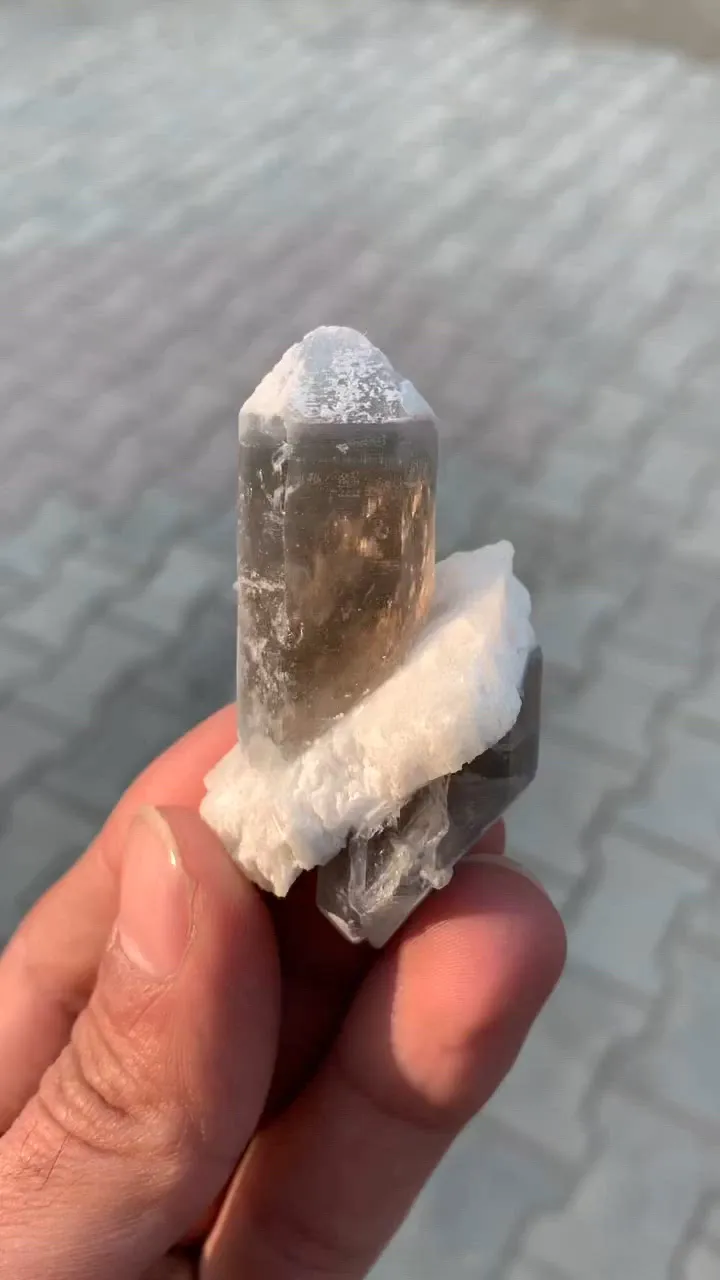 specimen video
