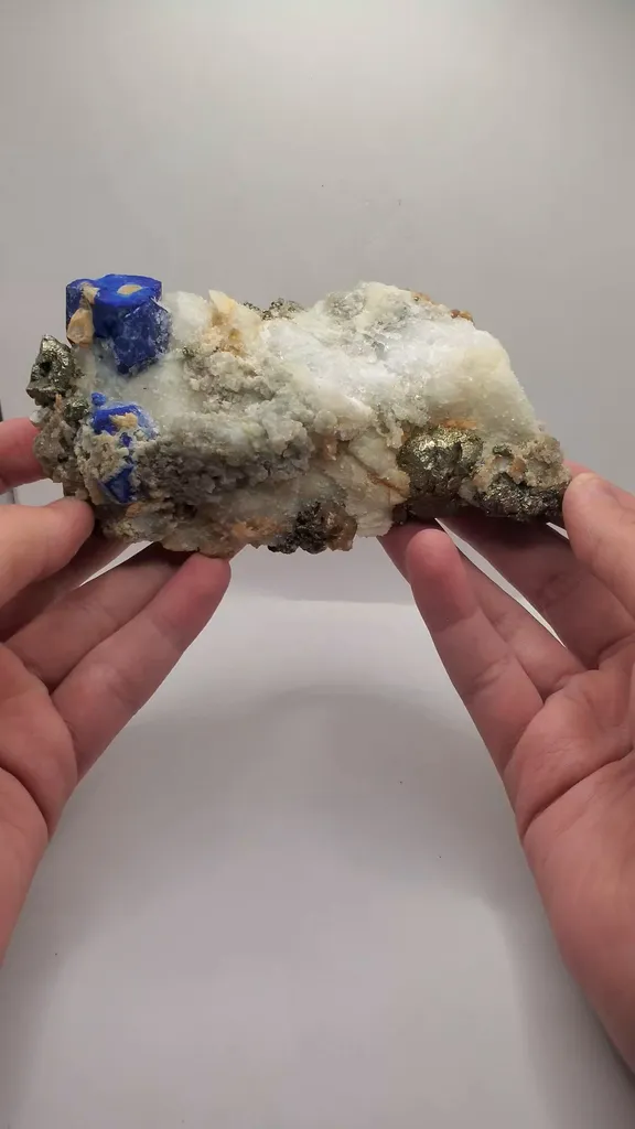 specimen video