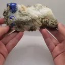 specimen video