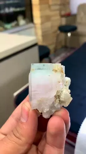 specimen video