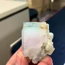 specimen video