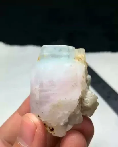 specimen video