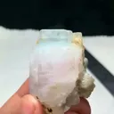 specimen video