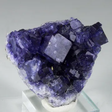 Primordial Goop Gems and Minerals