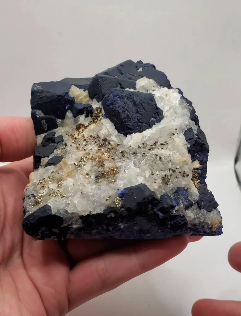 specimen video