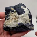 specimen video