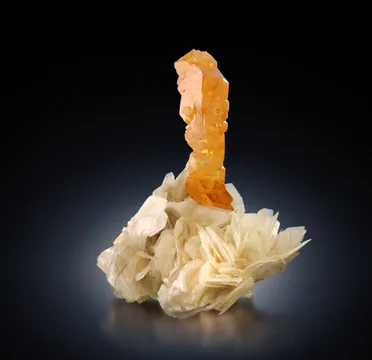 Muscovite
