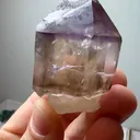 specimen video