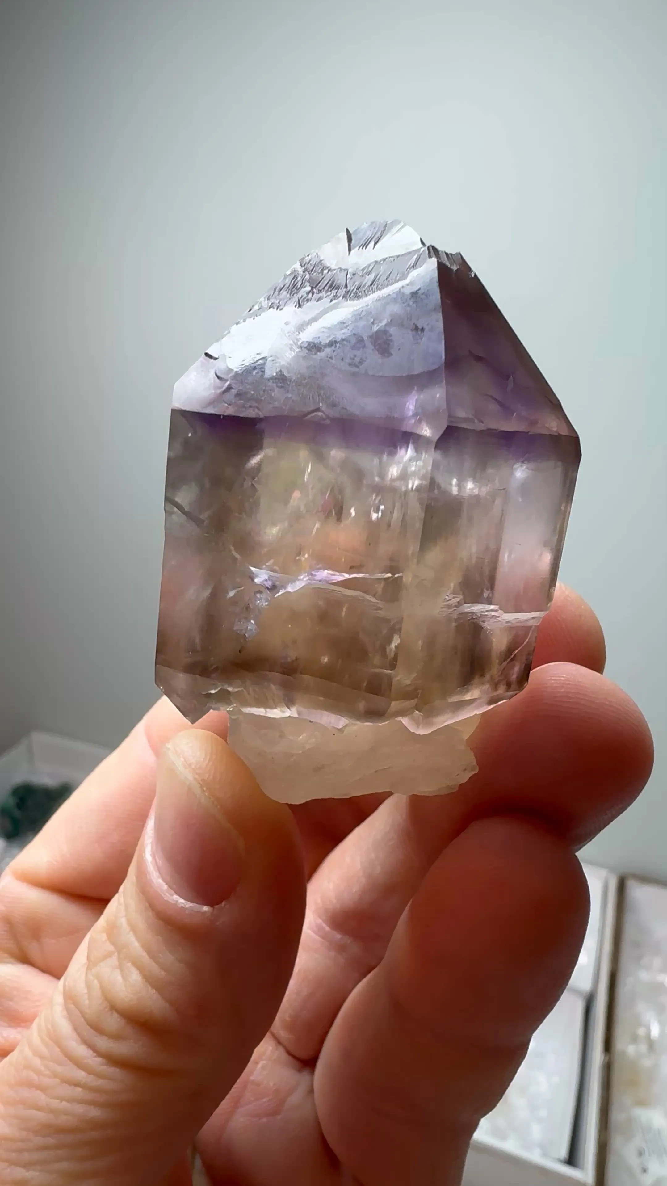 specimen video