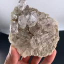 specimen video