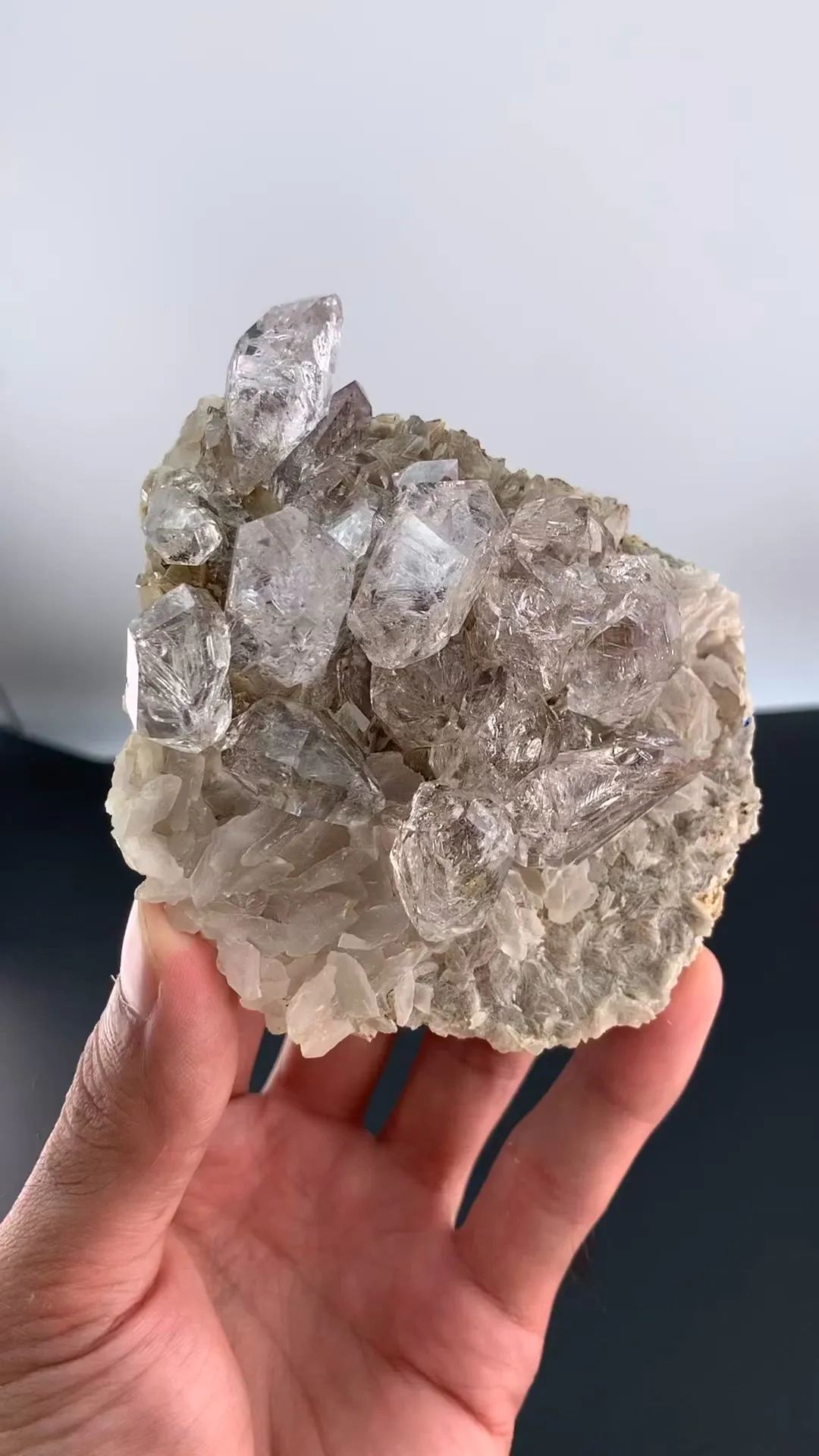 specimen video