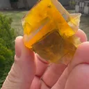 specimen video