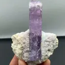 specimen video