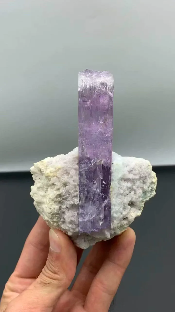 specimen video