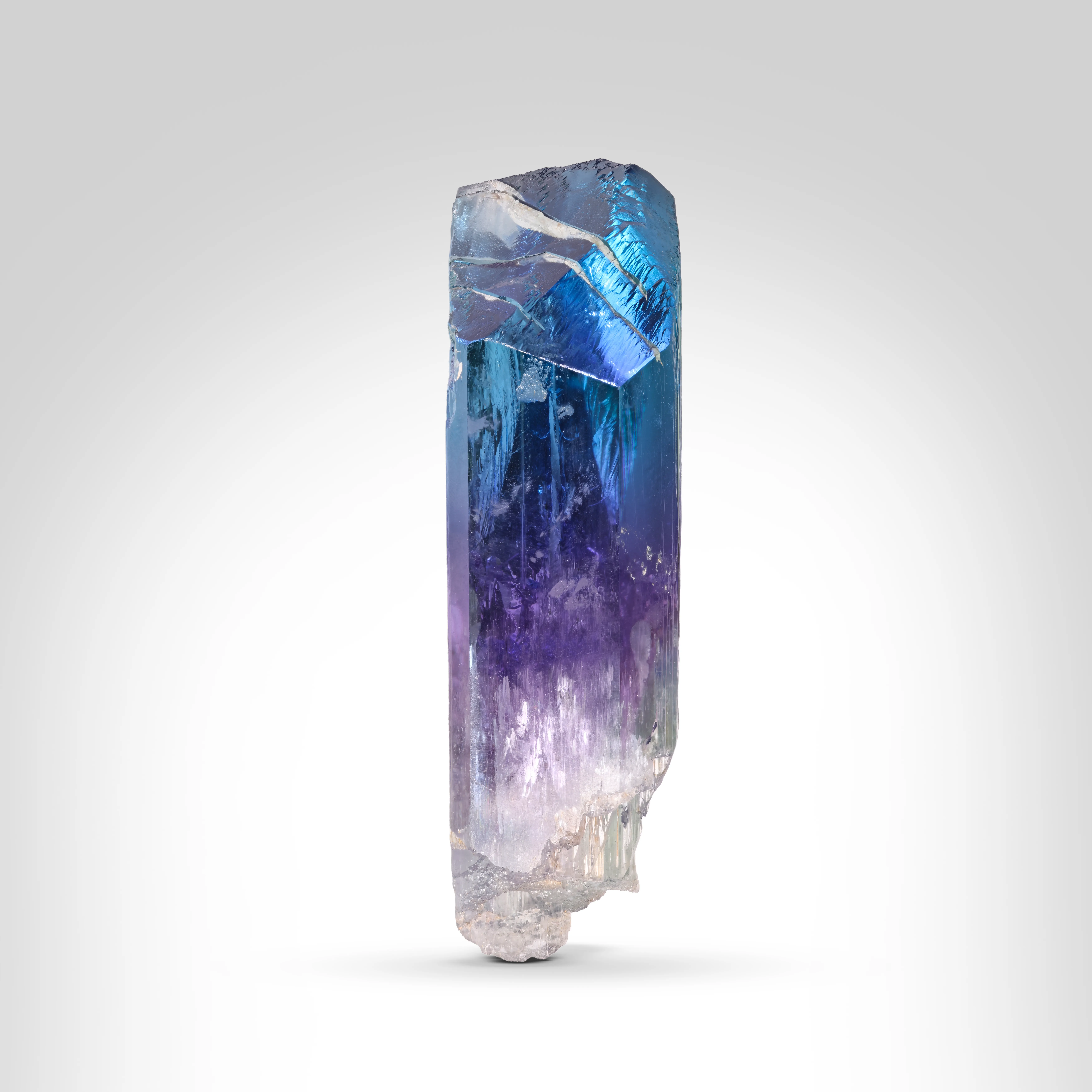 How a Collection Develops Its Own Identity