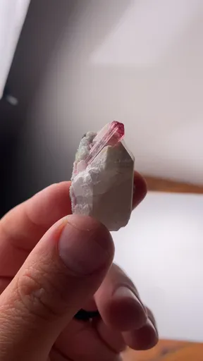 specimen video