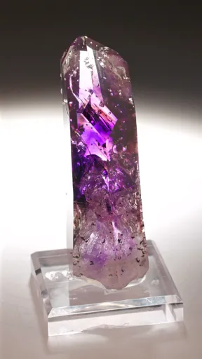 specimen video